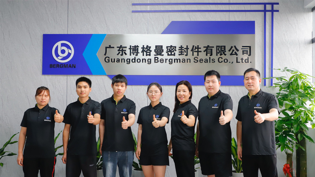 چین Guangzhou Bogeman Mechanical Seal Co., Ltd. نمایه شرکت